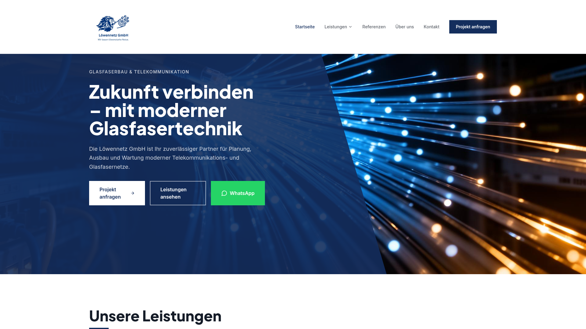 Webseite Referenz Löwennetz GmbH